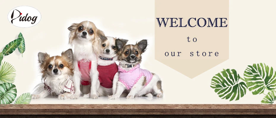 Personalized PU Leather Dog Collar – Adjustable Nameplate Collar