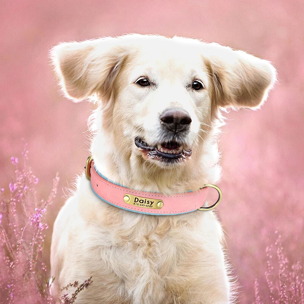 Personalized PU Leather Dog Collar – Adjustable Nameplate Collar