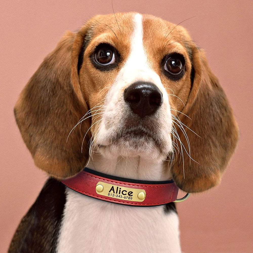 Personalized PU Leather Dog Collar – Adjustable Nameplate Collar