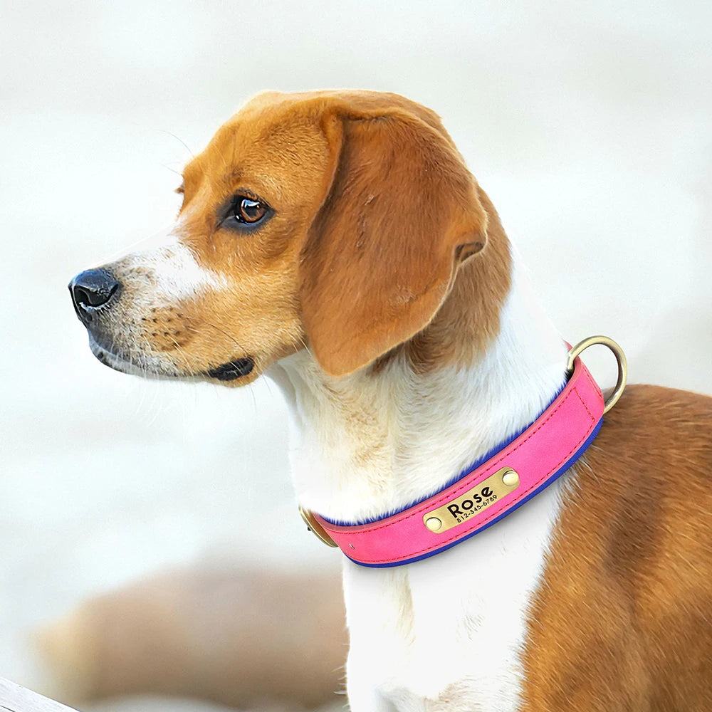 Personalized PU Leather Dog Collar – Adjustable Nameplate Collar