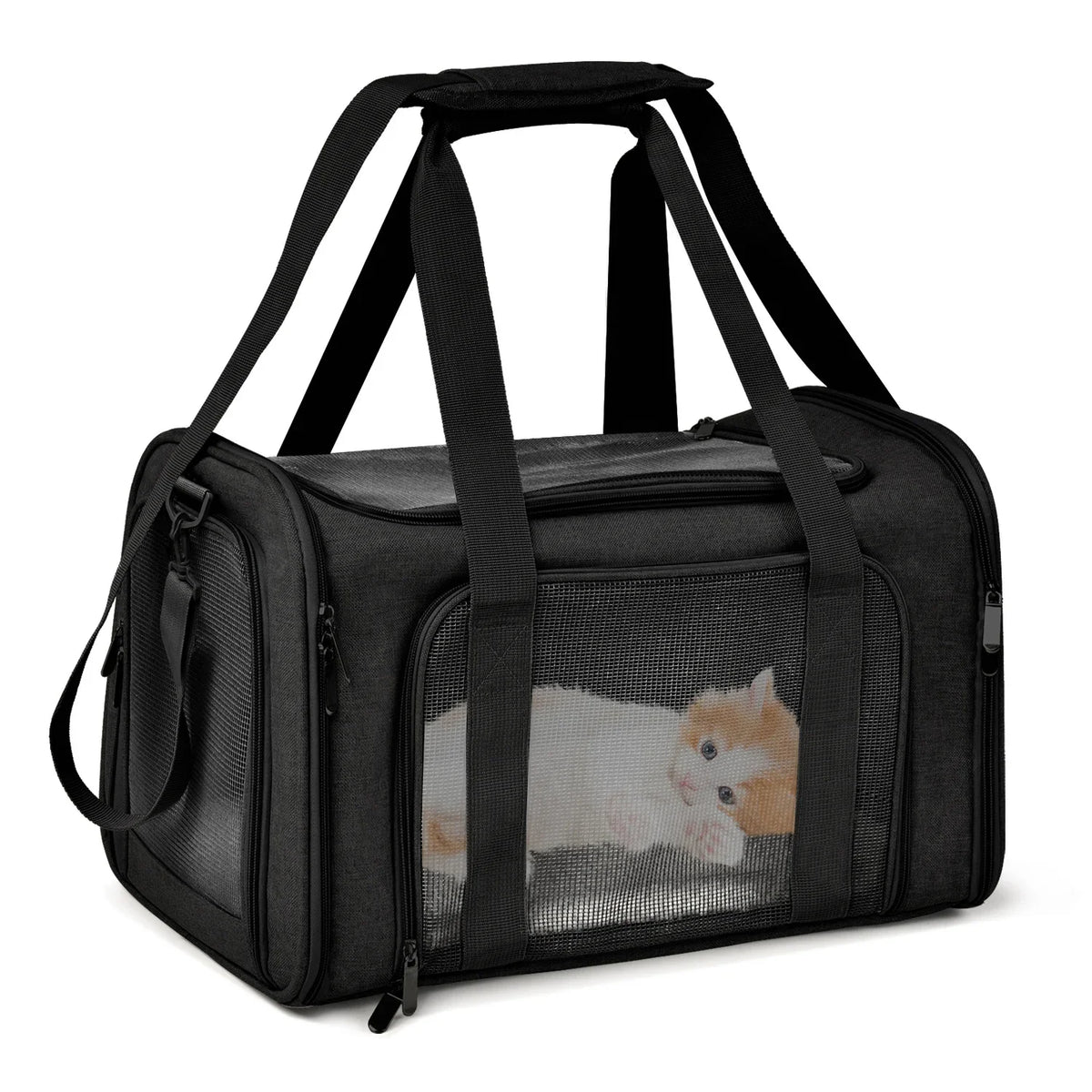 Collapsible Pet Carrier Bag – Travel Carrier for Cats & Small Dogs