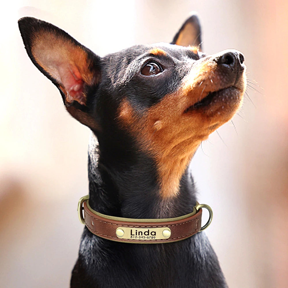 Personalized PU Leather Dog Collar – Adjustable Nameplate Collar