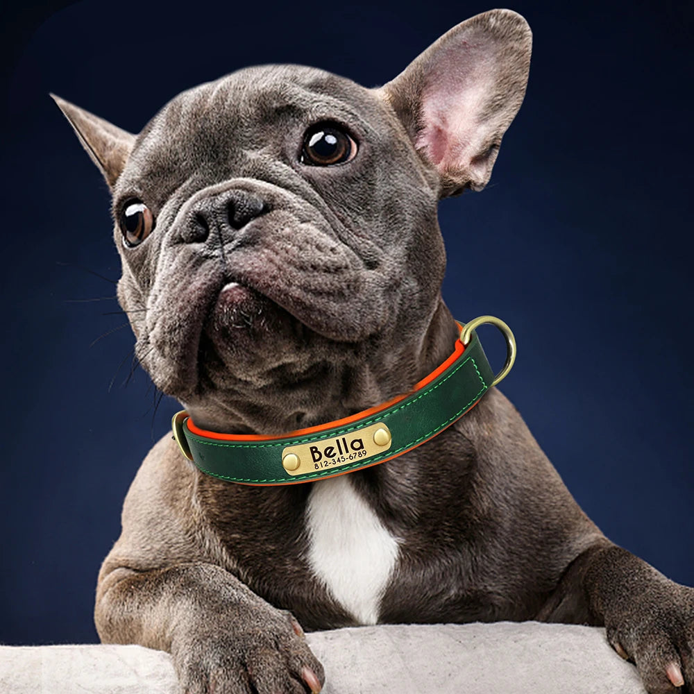 Personalized PU Leather Dog Collar – Adjustable Nameplate Collar