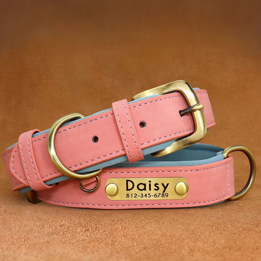 Personalized PU Leather Dog Collar – Adjustable Nameplate Collar
