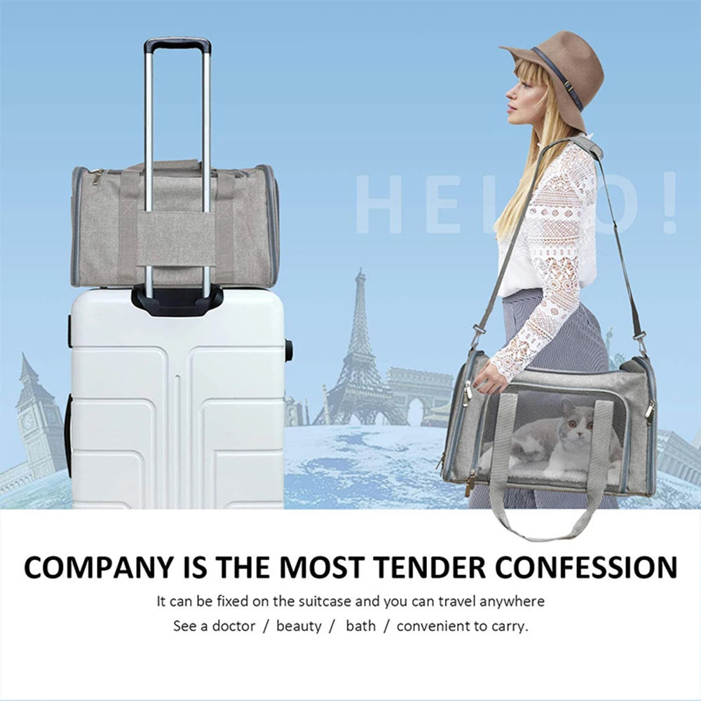 Collapsible Pet Carrier Bag – Travel Carrier for Cats & Small Dogs