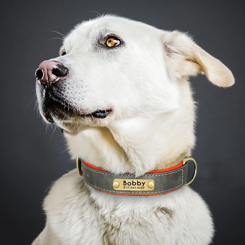 Personalized PU Leather Dog Collar – Adjustable Nameplate Collar